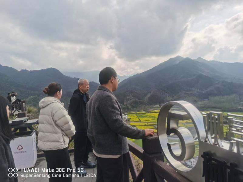 黄春炜带队视察我县重点景区重要节点油菜种植情况
