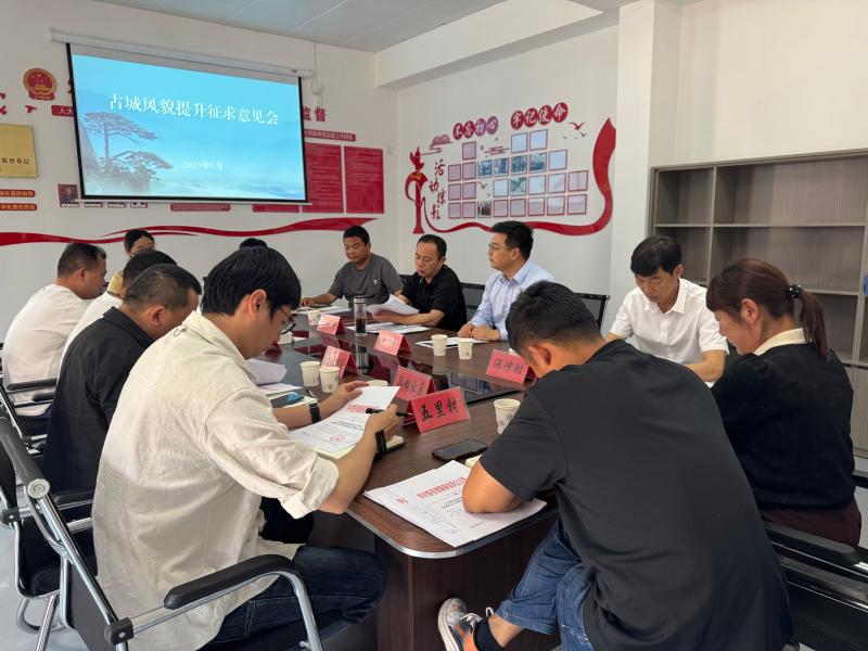 碧阳镇人大召开古城风貌提升征求意见会议